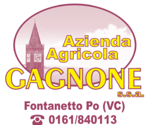 Logo Gagnone partner